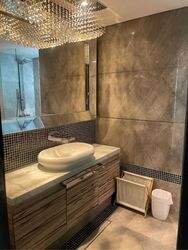 The Vision (D5), Condominium #558031351